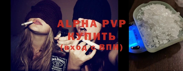 прущие грибы Бежецк