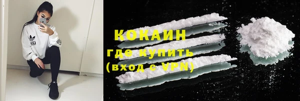 ПСИЛОЦИБИНОВЫЕ ГРИБЫ Нея