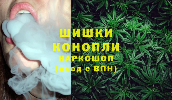 ПСИЛОЦИБИНОВЫЕ ГРИБЫ Нея