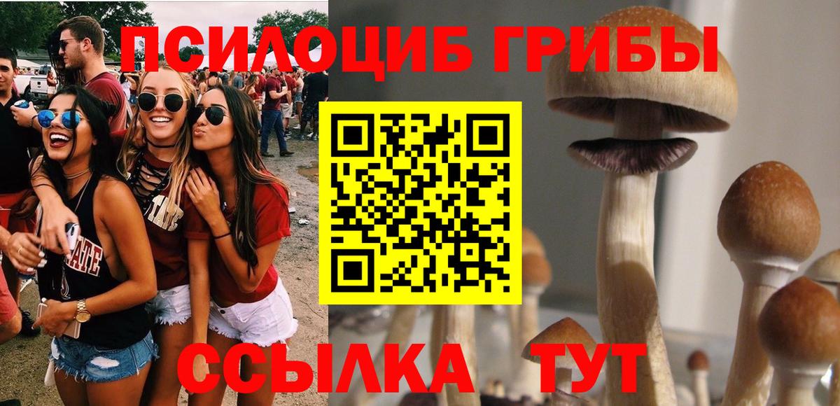 Улан-Удэ  Галлюциногенные грибы Psilocybe  Вход с VPN 