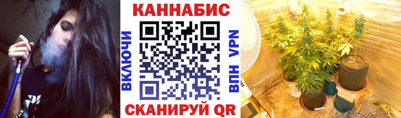 Шишки марихуана семена Улан-Удэ